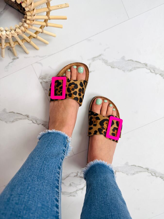 Clasp Leo Slides · 3