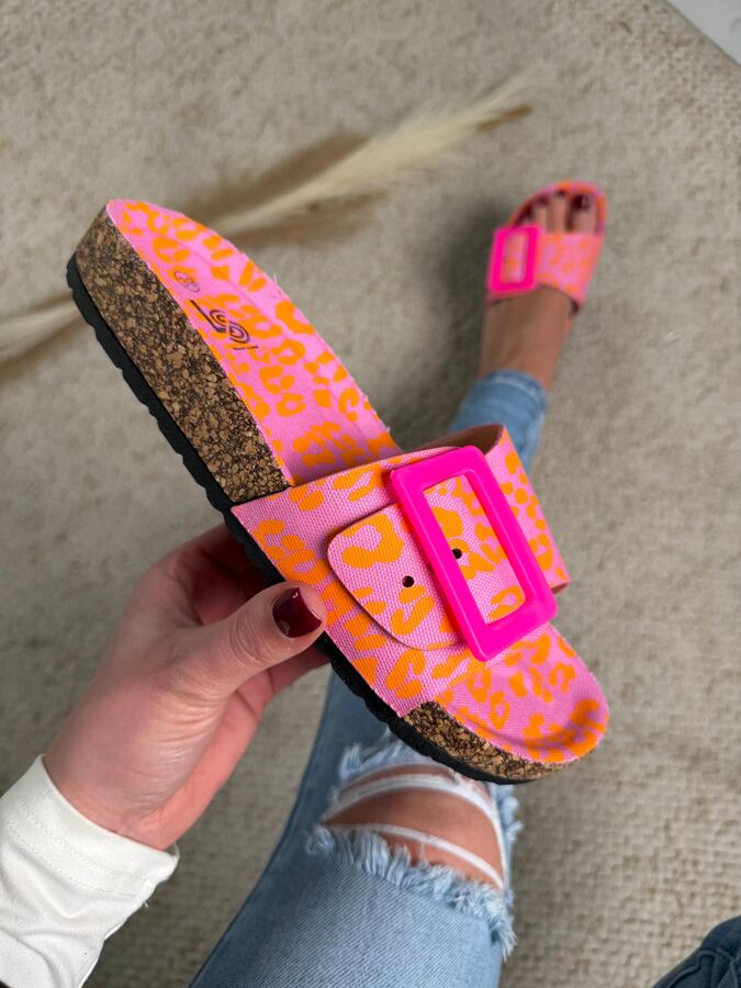 Clasp Print Slides · 2