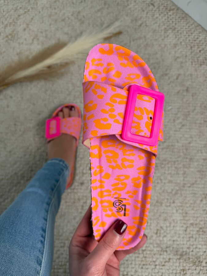 Clasp Print Slides · 3