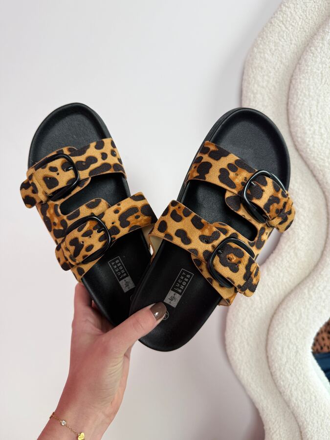 Rikki Leo Slides · 3